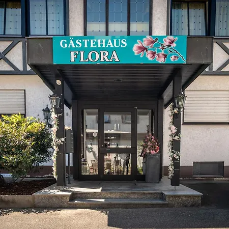 New Gaestehaus-flora Kitchen-tv-free Parking-near Europapark And Strasbourg