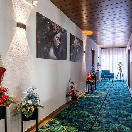 New Gaestehaus-flora Kitchen-tv-free Parking-near Europapark And Strasbourg Hohberg