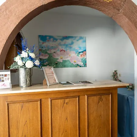 New Gaestehaus-flora Kitchen-tv-free Parking-near Europapark And Strasbourg *