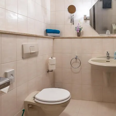 New Gaestehaus-flora Kitchen-tv-free Parking-near Europapark And Strasbourg Apart-hotel 3*