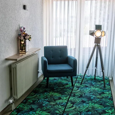 New Gaestehaus-flora Kitchen-tv-free Parking-near Europapark And Strasbourg Apart-hotel